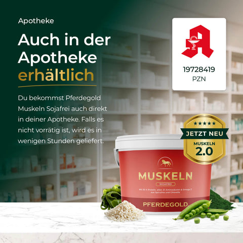 Ein Eimer Pferdegold Muskeln 2.0 Sojafrei zur Unterstützung der Pferdemuskulatur, der in einer Apotheke inmitten von Kräutern ausgestellt ist, mit einem Text, der die Verfügbarkeit des Produkts hervorhebt.