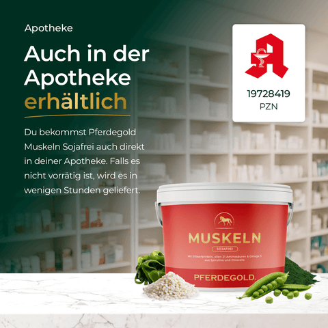 Ein Behälter mit Pferdegold Muskeln 2.0 Sojafrei in einer Apotheke, mit einem Text, der die Verfügbarkeit für den Muskelaufbau beim Pferd in Apotheken hervorhebt.