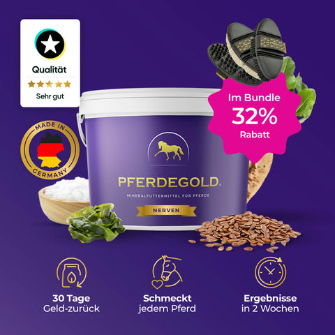 Pferdegold® Nerven + Bürsten Bundle 32%