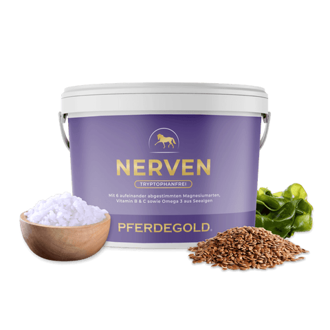Pferdegold Nerven 2.0 – eine Dose mit Nahrungsergänzungsmittel, daneben eine Schale mit weißem Pulver, Leinsamen und grünen Blättern – ein beliebtes natürliches Beruhigungsmittel für Pferde, das speziell zur Unterstützung und Beruhigung der Nerven von Pferden entwickelt wurde.