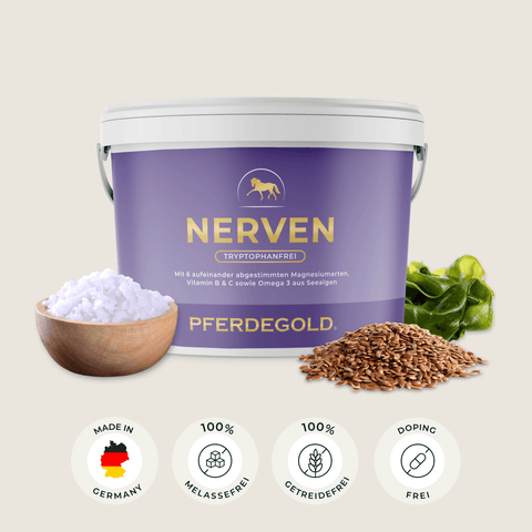 Eine Dose der Marke Pferdegold mit der Aufschrift „Nerven 2.0“ steht neben Leinsamen, Algen und Salz, darunter sind vier Zertifizierungssymbole abgebildet – damit ist sie ein ideales Beruhigungsmittel für Pferde, um das Wohlbefinden Ihres Pferdes zu fördern.