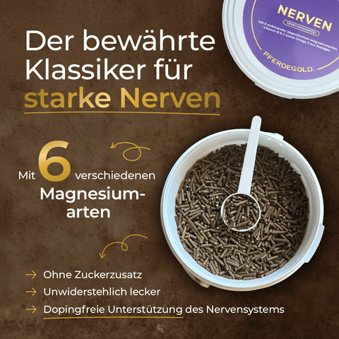 Geöffneter Eimer mit braunen Pellets, daneben Text über Pferdegold® Nerven 2.0 Nachfüllpack 3kg - Ergänzungsfutter für starke Nerven bei Pferden.