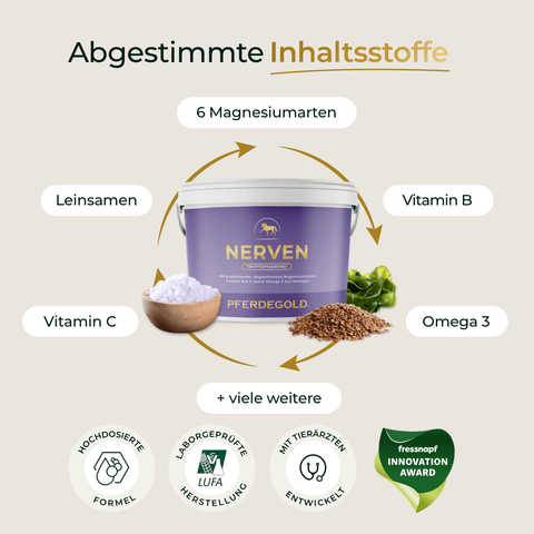 Der 3kg Nerven 2.0 Nachfüllpack von Pferdegold® im lila Eimer, umgeben von Icons: Magnesium, Leinsamen, Vitamin B, Vitamin C und Omega 3.