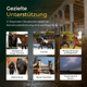 Sechs Bilder zeigen, in welchen Situationen Pferdegold® Nerven 2.0 Nachfüllpack 3kg Ihr Pferd unterstützen kann: Transport, Turnier, Streit, Umzug, neuer Nachbar und Sturm.