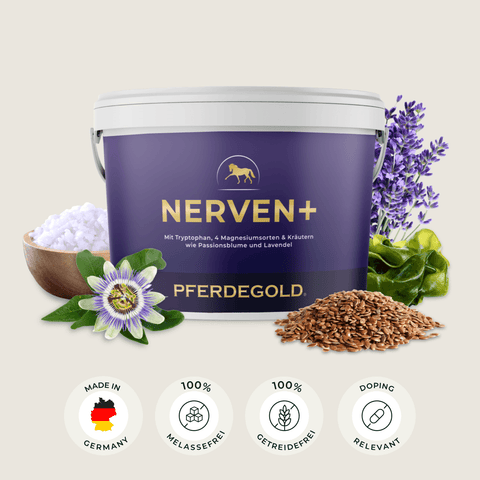 Pferdegold Nerven+ mit Tryptophan – Ergänzungsfuttermittel in einer Dose, umgeben von Lavendel, Passionsblume, Leinsamen und Kristallen – ein beruhigendes Mittel für Pferde, das die Nerven der Pferde auf natürliche Weise unterstützt.