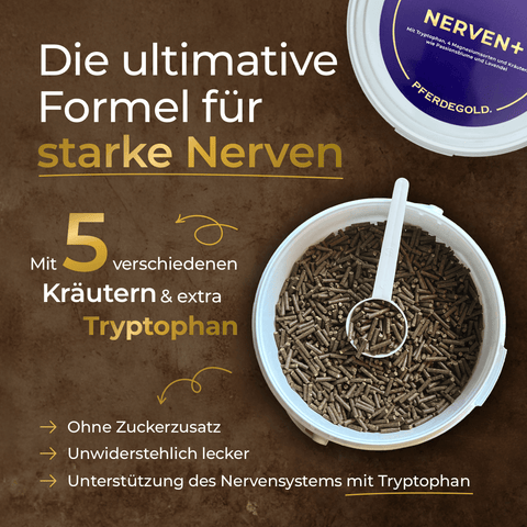 Geöffneter Behälter mit braunen Futterpellets mit Schaufel; Text hebt starke Nervenunterstützung und wichtige Inhaltsstoffe hervor - ideales Pferdegold Nerven+ mit Tryptophan für effektive Beruhigung.