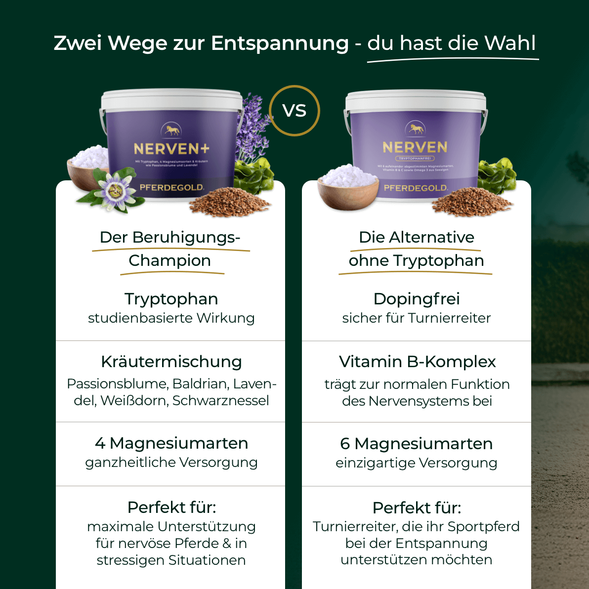 Pferdegold® Nerven+ mit Tryptophan 3für2 im Vergleich: Inhaltsstoffe und Vorteile für entspannte, nervenstarke Pferde sowie Tipps zur Beruhigung aufgelistet.