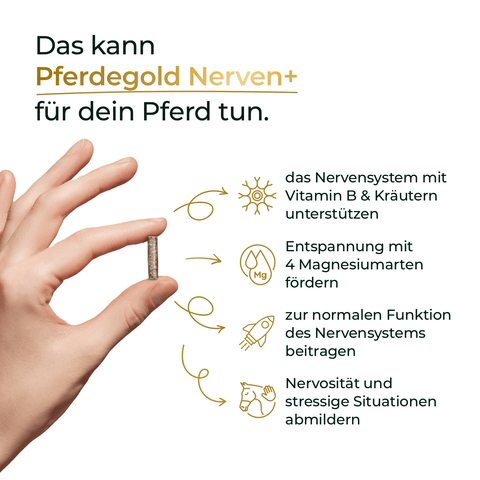 Eine Hand hält Tabletten; der Text hebt die Vorteile von Pferdegold Nerven+ mit Tryptophan für das Nervensystem und zur Beruhigung von Pferden hervor - ideal zur Unterstützung starker Nerven in stressigen Situationen.
