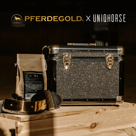 Eine glitzernde schwarze Pferdegold® Putzbox, ein goldverzierter Gürtel und ein Futterbeutel auf einer Holzkiste; Pferdegold-Logo oben.
