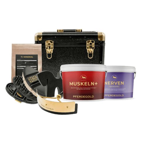 Die Pferdegold® Putzbox Bundle Deluxe enthält verschiedene Pferdepflegeartikel von Pferdegold®, wie z. B. Behälter, eine Tasche, Pflegewerkzeuge und eine schwarze Tasche.