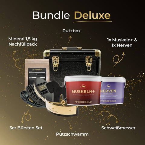 Das Pferdegold® Putzbox Bundle Deluxe enthält eine Putzbox, Bürsten, Muskel- und Nervenzusätze, Schwamm und Schweißabstreifer von Pferdegold®.