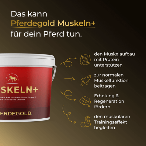 Eine rote Pferdegold® Putzbox Bundle Deluxe Wanne mit den Produktvorteilen für Pferde auf dunklem Hintergrund.