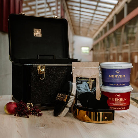 Die Pferdegold® Putzbox Bundle Deluxe von Pferdegold® mit Pflegezubehör und Ergänzungsfuttermitteln wird auf einem Holztisch im Stall präsentiert.