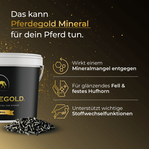 Das Pferdegold® Putzbox Bundle small hilft, Mineralmangel auszugleichen, sorgt für ein glänzendes Fell, gesunde Hufe und unterstützt den Stoffwechsel Ihres Pferdes.