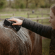 Mit dem Pferdegold® Putzschwamm von Pferdegold® schrubbt jemand den Rücken eines Pferdes in einem eingezäunten Bereich.