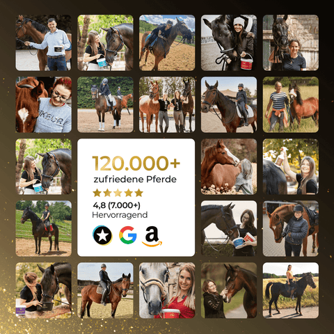 Collage von Menschen mit Pferden, mit Text: 120.000+ zufriedene Pferde dank Pferdegold® Schweißmesser, 4,8 Sterne (7.000+) Hervorragend.