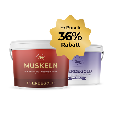 Holen Sie sich das Pferdegold Sport Balance Bundle 36%-zwei Ergänzungsbecher mit einem 36%igen gelben Bundle-Rabatt, perfekt für den Muskelaufbau Pferd und zur Unterstützung gesunder Muskeln.