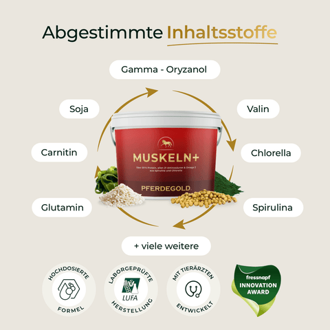 Roter Eimer mit dem Ergänzungsfuttermittel „Pferdegold® Sport Balance Deluxe“, das Inhaltsstoffe wie Soja, Carnitin und Chlorella enthält, umgeben von Auszeichnungssymbolen.