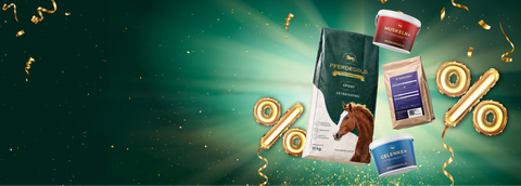 Wir schenken dir


 bis zu 40 % Rabatt


