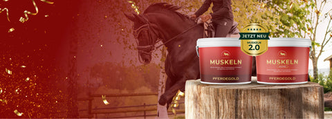 Gewinne 1 von 10 neuen EimernPferdegold Muskeln 2.0