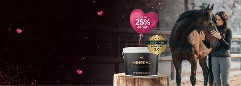 Mineral.

Die Basis auf höchstem Niveau.