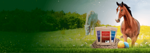 Bis zu 30% Rabatt

warten auf dich.