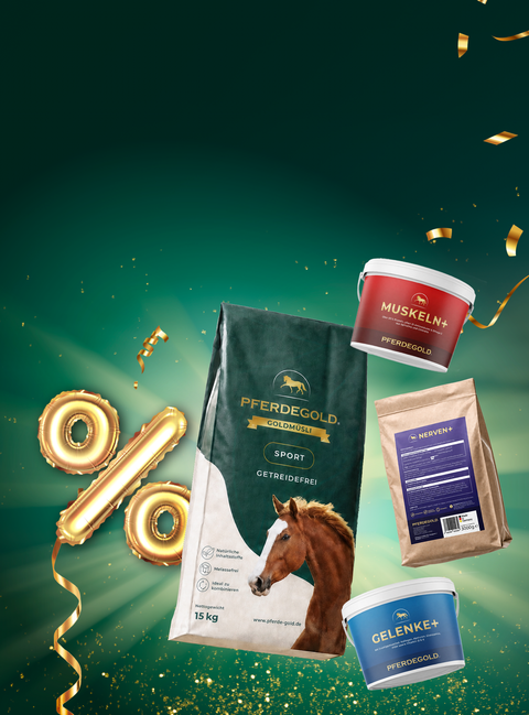 Wir schenken dir


 bis zu 40 % Rabatt

