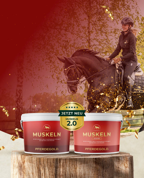 Gewinne 1 von 10 neuen EimernPferdegold Muskeln 2.0