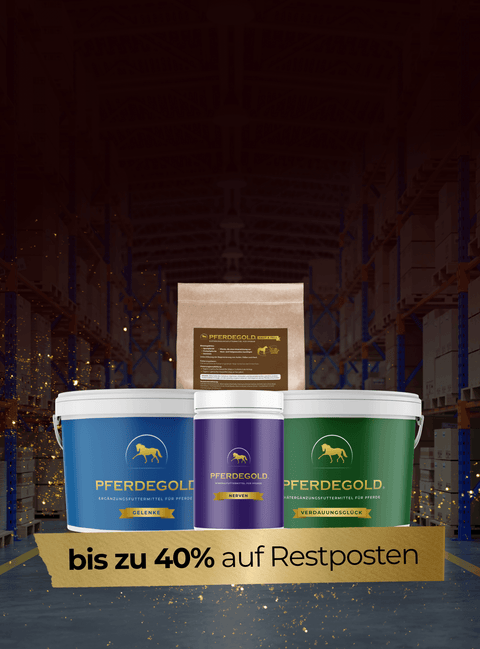  15 % Rabatt  auf

 unser Sortiment

