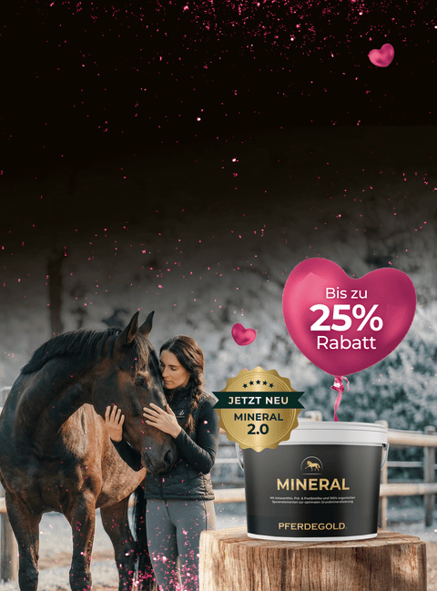 Mineral.

Die Basis auf höchstem Niveau.