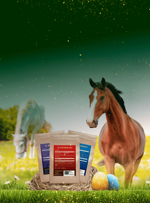 Bis zu 30% Rabatt

warten auf dich.