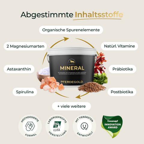 Ein Behälter von Pferdegold Basic Bundle: Turnierchamp getreidefrei ergänzen mit aufgelisteten Inhaltsstoffen und Merkmalen wie proteinreichem Pferdefutter und getreidefreiem Pferdefutter auf Deutsch.