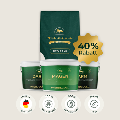 Pferdegold® Verdauungsbalance mit 40 % Rabatt-Badge, Dreierpack und Symbolen für Verdauungsbalance – ideal für empfindliche Pferde.