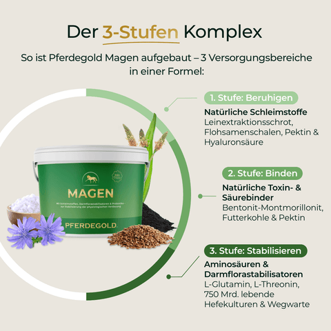 Der deutsche Text beschreibt das 3-Stufen-Konzept von Pferdegold® Verdauungsbalance, das sich ideal für empfindliche Pferde eignet. Er erläutert die Inhaltsstoffe und Vorteile zur Unterstützung des Verdauungsgleichgewichts und ergänzt getreidefreies Müsli perfekt.
