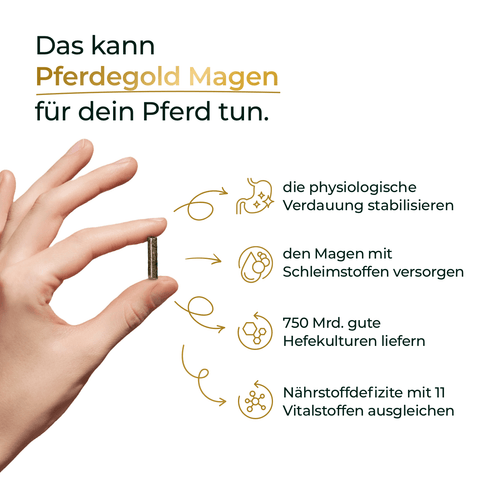 Eine Hand hält eine Tablette; daneben werden die Vorteile von Pferdegold® Verdauungsbalance für empfindliche Pferde und deren Verdauung anhand von Symbolen dargestellt.