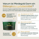 Infografik zu Pferdegold® Verdauungsbalance Nr. 70 & 71 – ein getreidefreies Ergänzungsfuttermittel für empfindliche Pferde zur Unterstützung der Verdauung.