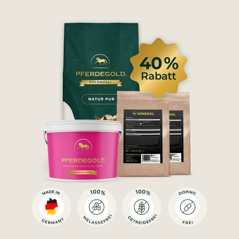 Pferdegold® Vital Kur Pferdefutter mit 40 % Rabatt-Badge und Symbolen, die die Vorteile der Mineralstoffe für eine optimale Nährstoffversorgung Ihrer Pferde verdeutlichen.