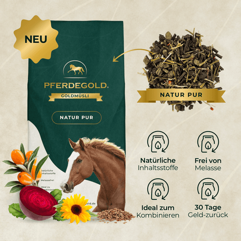 Eine Packung Pferdegold® Vital Kur-Pferdefutter mit Angaben zu den Inhaltsstoffen, Symbolen für Mineralstoffe und den Vorteilen für die Nährstoffversorgung von Pferden auf beigem Hintergrund.