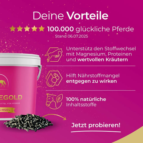Futtereimer mit Vital Kur Pellets von Pferdegold®, Informationstext zu Nährstoffversorgung und Vorteilen, violetter Hintergrund mit weißer und gelber Schrift.